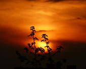 要是不来东北见识冰雪奇缘,仿佛错过了一整个冬天! 要是不来东北见识冰雪奇缘,仿佛错过了一整个冬天!
