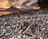 🌸哈尔滨绝美赏荷地,人少出片! 🌸哈尔滨绝美赏荷地,人少出片!